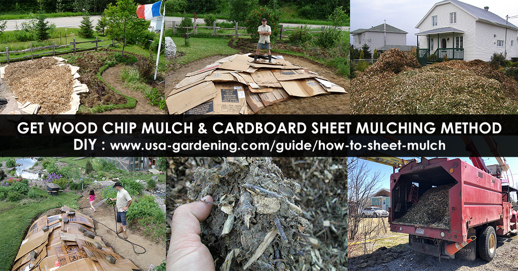 Sheet mulching